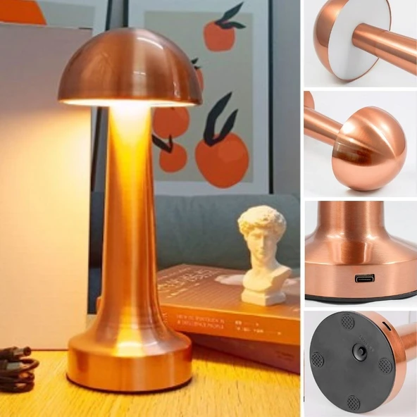 Mantar Model Bronz Renk Şarjlı Dokunmatik 3 Renkli LED Masa Lambası - Resim 5