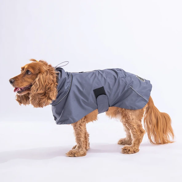 Pawstar Gri Colombia Orta Ve Büyük Irk Köpek Yağmurluğu Köpek Kıyafeti Köpek Elbisesi - Resim 7