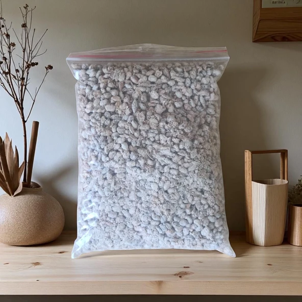 1 kg İstiridye Mantar Tohumu( 4 adet ekim poşeti hediyeli) ürün görseli