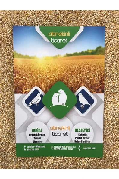 ALTIN EKİN Akdarı Muhabbet Kuş Yemi Ak Darı 5 Kg - Resim 2