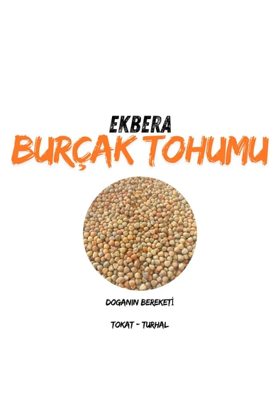 EKBERA Burçak (Müdürmük) Tohumu 1 Kg | Ekimlik – Yemlik – Diyet Dostu – Çok Amaçlı - 2