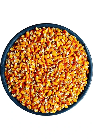 Bizim Yem Mısır 20kg Tavuk Yemi Yemlik Mısır Kanatlı Yemi Kaz Ördek Yemi Kuş Yemi ürün görseli