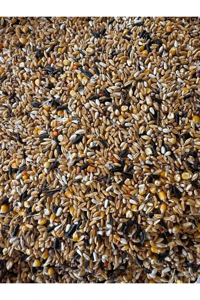 YEM 25 Kg Zengin Karışık Tavuk Yemi Güvercin Yemi Süper Karışık Yem ürün görseli