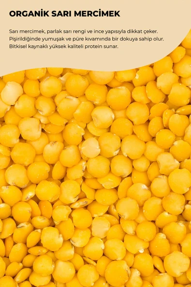 SARI MERCİMEK 2,5 KG - 2