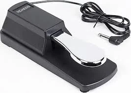 NEMESİS SUSTİAN PEDAL SP-1 - 1
