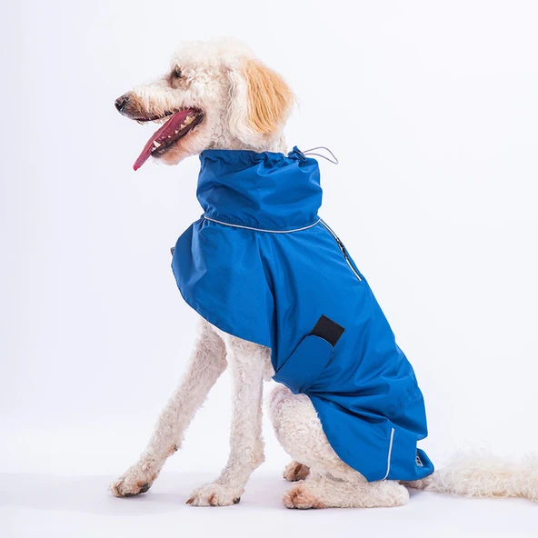 Pawstar Mavi Colombia Orta ve Büyük Irk Köpek Yağmurluğu Köpek Kıyafeti Köpek Elbisesi - 3
