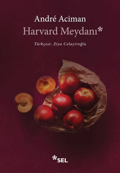 Harvard Meydanı ürün görseli