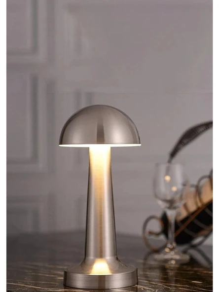 3 Işık Renkli Şarjlı Dim Edilebilir Metal Masa Lambası Silver B13
