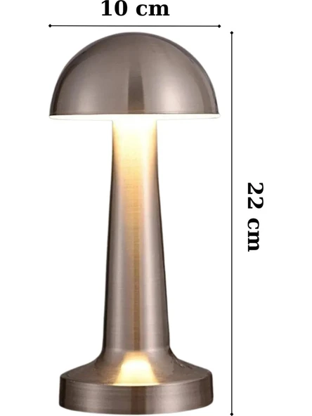 3 Işık Renkli Şarjlı Dim Edilebilir Metal Masa Lambası Silver B13 - 2