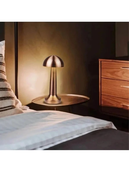 3 Işık Renkli Şarjlı Dim Edilebilir Metal Masa Lambası Silver B13 - 4