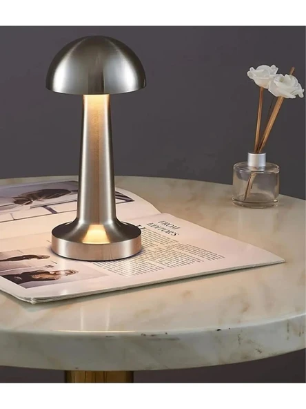 3 Işık Renkli Şarjlı Dim Edilebilir Metal Masa Lambası Silver B13 - 3