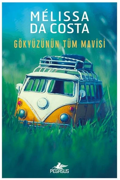 Gökyüzünün Tüm Mavisi ürün görseli