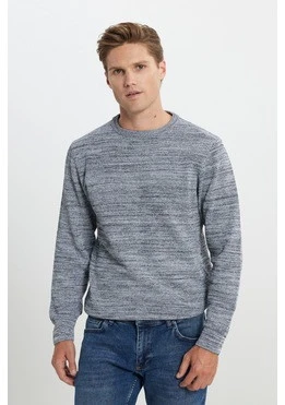 AC&Co  Altınyıldız Classics Erkek A.GRI-LACI Recycle Standart Fit Bisiklet Yaka Desenli Triko Kazak ET4921100021AGL3XL Açık Gri ürün görseli