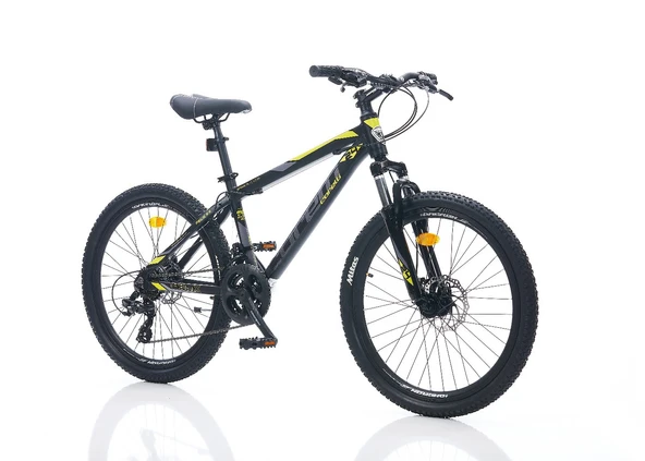 CORELLİ FELİX 2.2 24 JANT 24 V DİSK FREN BİSİKLET - 2