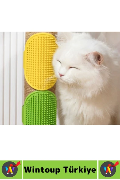 Ergonomik Evcil Hayvan Yumuşak Esnek Zararsz Masaj Pet Kedi Köpek Silikon Tüy Toplama Yıkama Fırçası - Resim 3