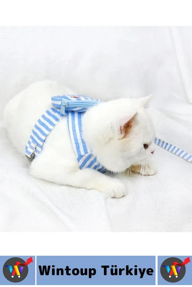 Yüksek Kaliteli Şık Sevimli Küçük Irk Kedi Köpek Evcil Hayvan Çantalı Göğüs Gezdirme Tasması Seti - 3