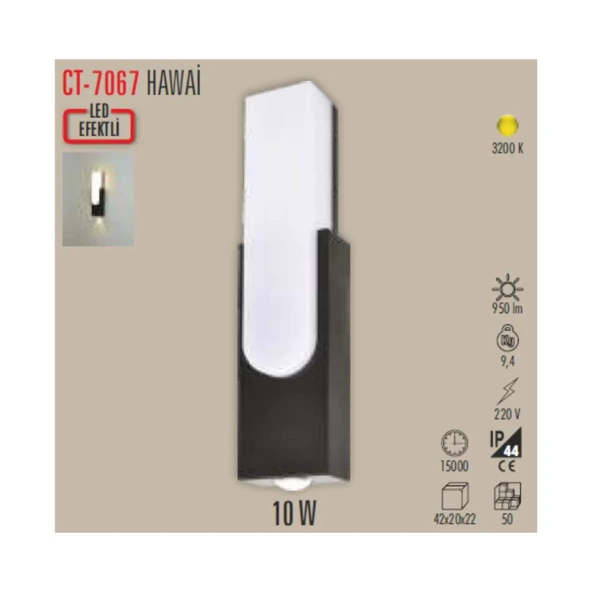 CATA CT 7048 Ledli 12W Duvar Apliği 3200K Gün Işığı - Resim 3