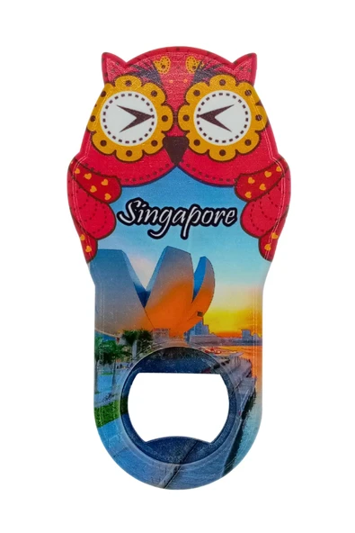 Singapur Temalı Baykuş Magnet Kapak Açacak - Resim 3