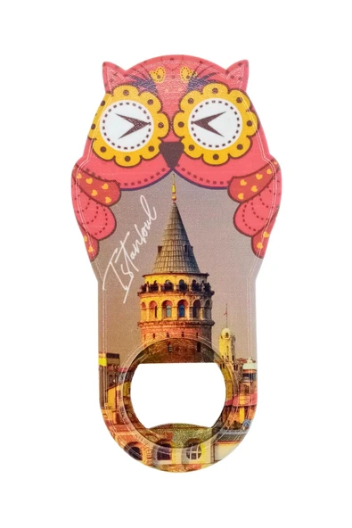 İstanbul Temalı Baykuş Magnet Kapak Açacak - Resim 3