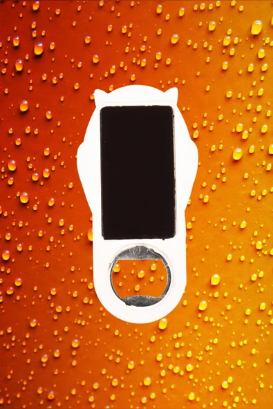 İstanbul Temalı Baykuş Magnet Kapak Açacak - Resim 4