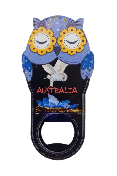 Avustralya Temalı Baykuş Magnet Kapak Açacak - Resim 3