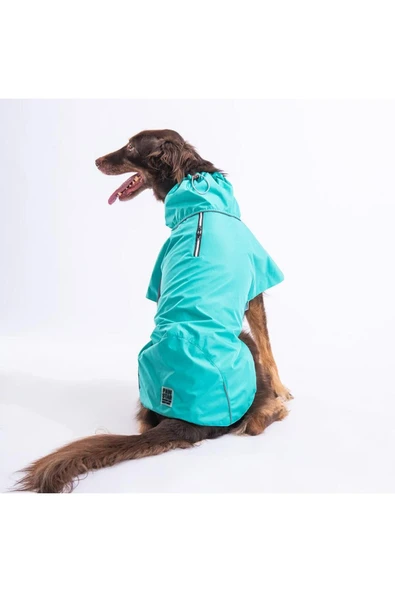 Pawstar Mint Colombia Orta Ve Büyük Irk Köpek Yağmurluğu Köpek Kıyafeti Köpek Elbisesi - Resim 3