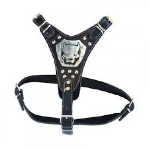 Gladyatör Deri Köpek Göğüs Tasması ürün görseli