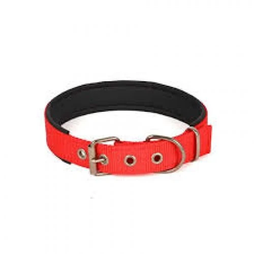 Yumuşak Dokulu Köpek Boyun Tasması Orta Boy 3X52Cm ürün görseli