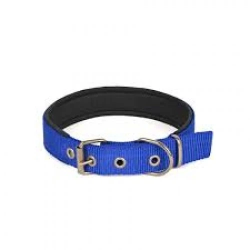 Yumuşak Dokulu Köpek Boyun Tasması Küçük Boy 2,5X55Cm ürün görseli