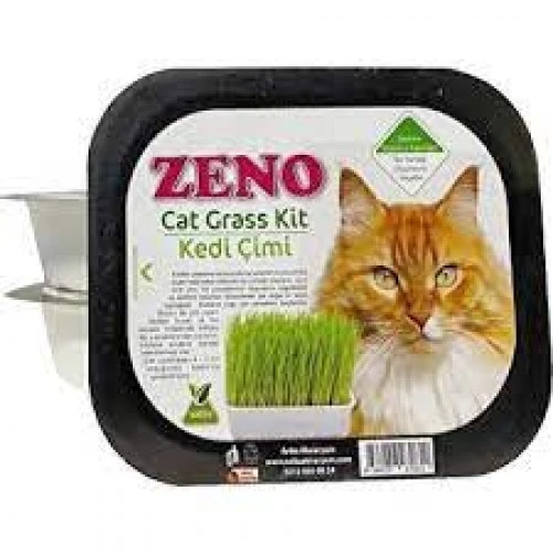 Zeno Dalong Zeno Kedi Çimi ürün görseli