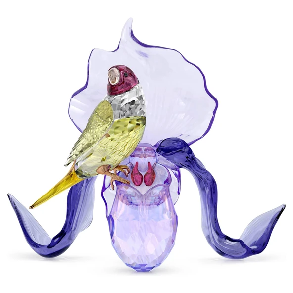 5675211 Swarovski Biblo Idyllıa:Gouldıan Fınch And Orchıd - 1