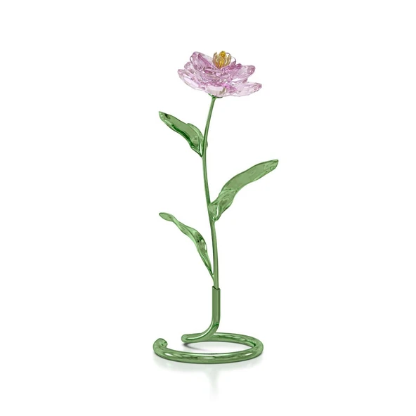 5668065 Swarovski Ev Dekorasyonu Florere:Peony - 1