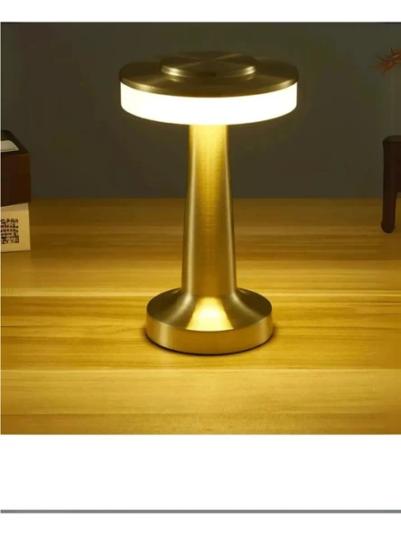 Dekoratif Şarjlı Dokunmatik LED Metal Masa Lambası USB Kablolu Abajur ve Gece Lambası Altın B49