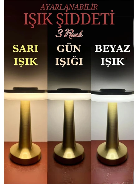 Dekoratif Şarjlı Dokunmatik LED Metal Masa Lambası USB Kablolu Abajur ve Gece Lambası Altın B49 - 4