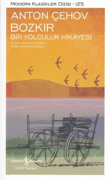 Bozkır Bir Yolculuk Hikayesi - Modern Klasikler Dizisi ürün görseli 1