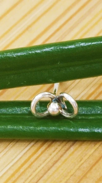 Gümüş Hızma 1. Kalite ve Şık Tasarım ürün görseli 1