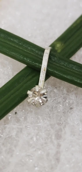 Gümüş Hızma 1. Kalite ve Şık Tasarım ürün görseli 1