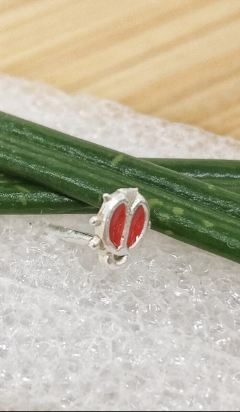 Gümüş Hızma 1. Kalite ve Şık Tasarım ürün görseli 1