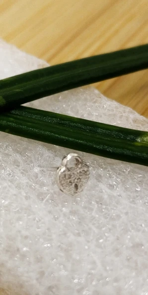 Gümüş Hızma 1. Kalite ve Şık Tasarım