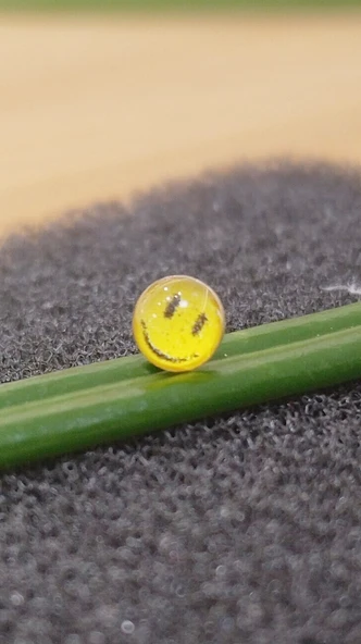 Gümüş Hızma 1. Kalite ve Şık Tasarım ürün görseli 1