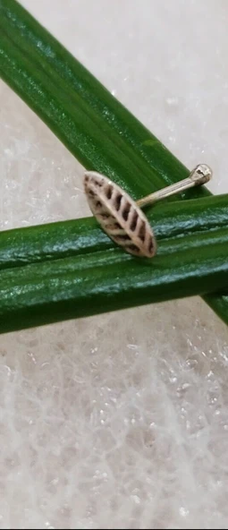 Gümüş Hızma 1. Kalite ve Şık Tasarım