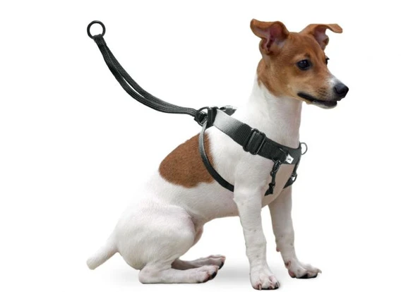 Karlıe Easy Walker Göğüs Tasma 22*32 Cm Small ürün görseli