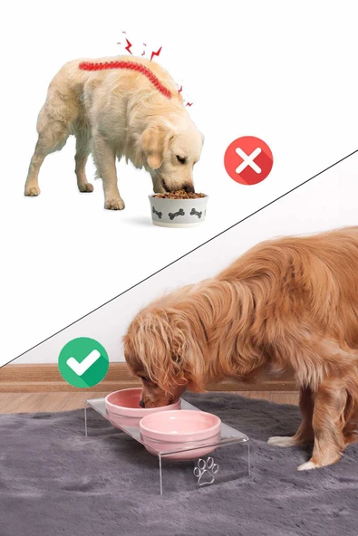 2'li Seramik Dekoratif Kedi Ve Köpek Pleksi Mama & Su Kabı Paspas Pembe - 4