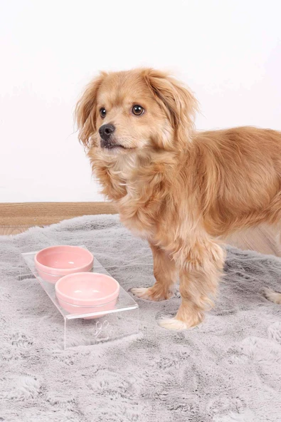 2'li Seramik Dekoratif Kedi Ve Köpek Pleksi Mama & Su Kabı Paspas Pembe - 2