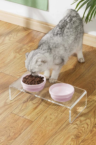 2'li Seramik Dekoratif Kedi Ve Köpek Pleksi Mama & Su Kabı Paspas Pembe - 3