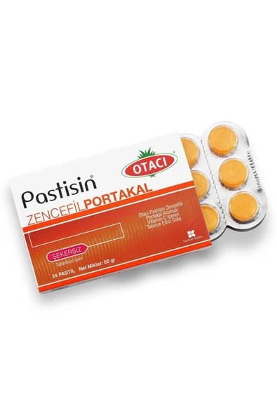 Pastisin Zencefil Portakal Bitkisel Pastil 24 Adet ürün görseli 1