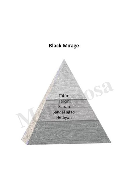 Niche Black Black Mirage Unisex Extrait De Perfume 100 ml - Mnms100bmır - Resim 2