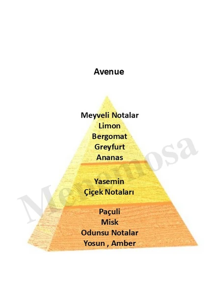 Avenue + No: 669 Erkek  Parfüm 50 ml edp Oriental / Woody  - Mnms50ave669 - Resim 2