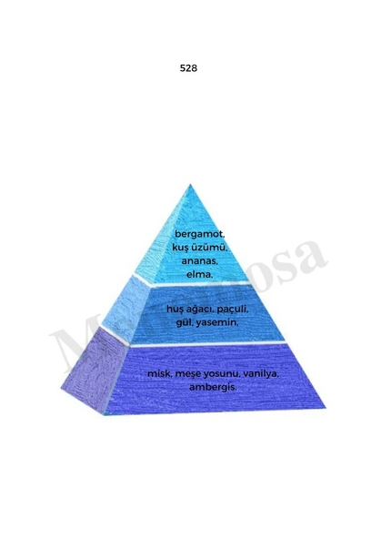 Avenue + No: 528 Erkek  Parfüm 50 ml edp Oriental / Fresh  - Mnms50ave528 - Resim 3