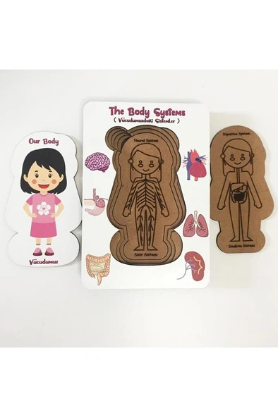 Moon Beavers Vücudumuz Sistemleri Kız Ahşap Eğitici Oyun - 3